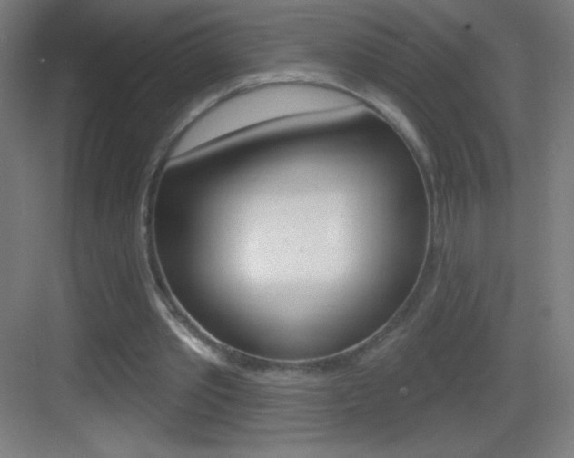 X0000083570389200702090821