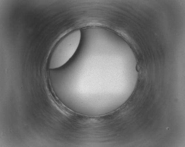 X0000083570390200702090821