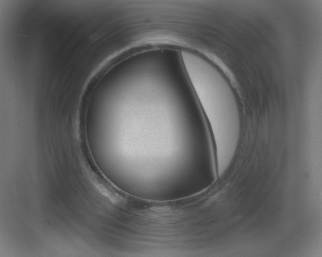 X0000083570391200702090821