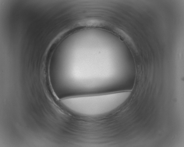 X0000083570392200702090821