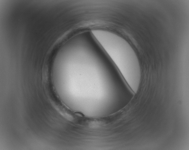 X0000083570400200702090820
