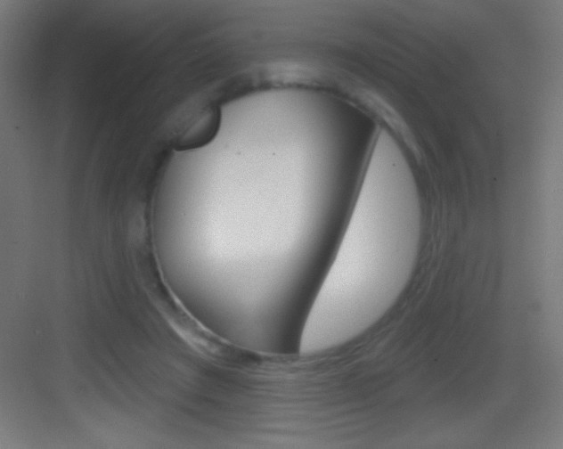 X0000083570401200702090820