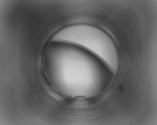 X0000083570403200702090820