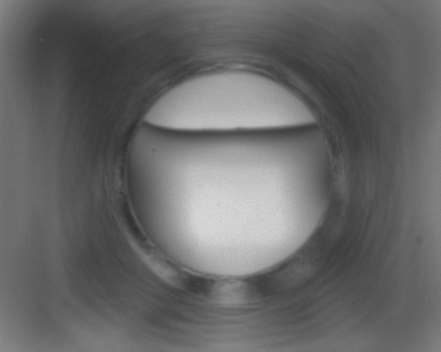 X0000083570410200702090820