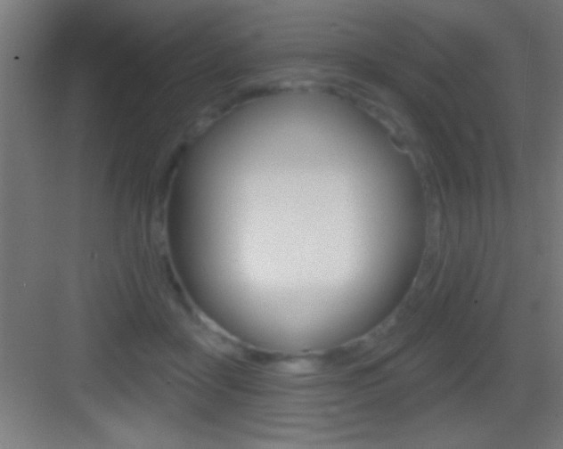 X0000083570411200702090820