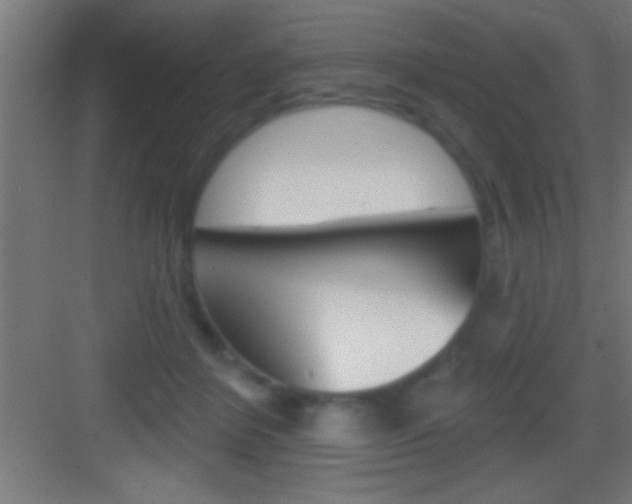 X0000083570412200702090820