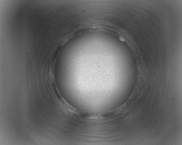 X0000083570415200702090820