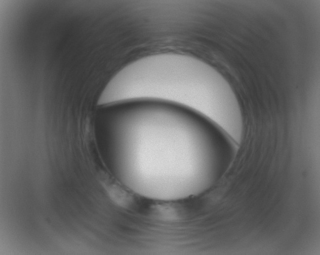 X0000083570417200702090820