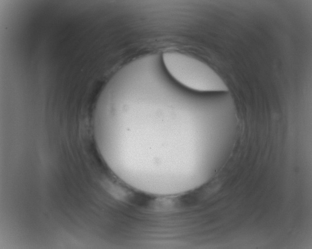 X0000083570418200702090820