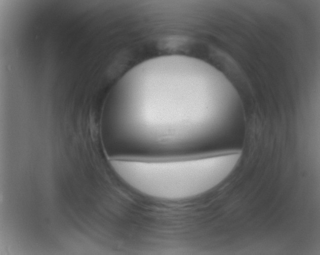 X0000083570420200702090820