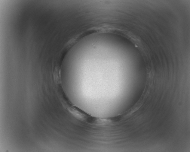 X0000083570429200702090820