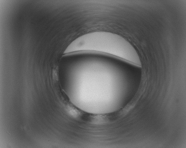 X0000083570432200702090820