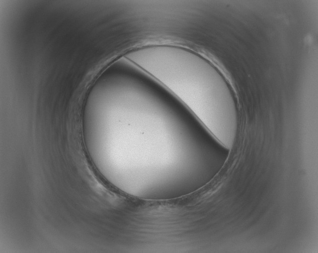 X0000083570433200702090819