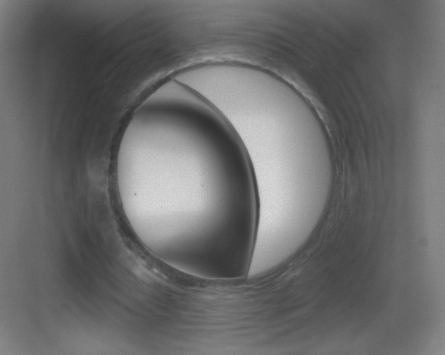 X0000083570434200702090819
