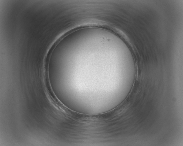 X0000083570435200702090819