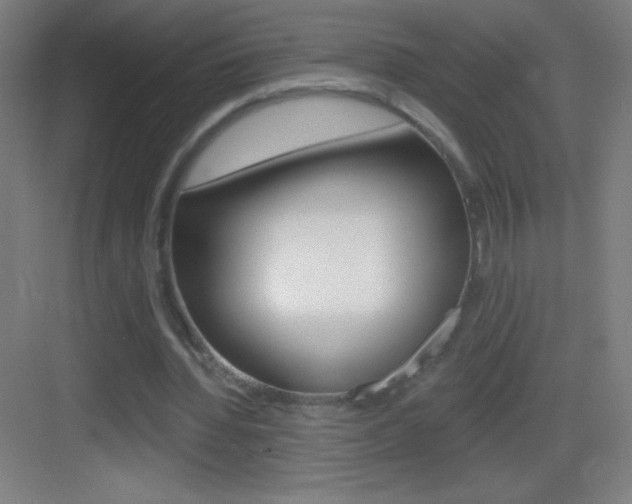 X0000083570436200702090819