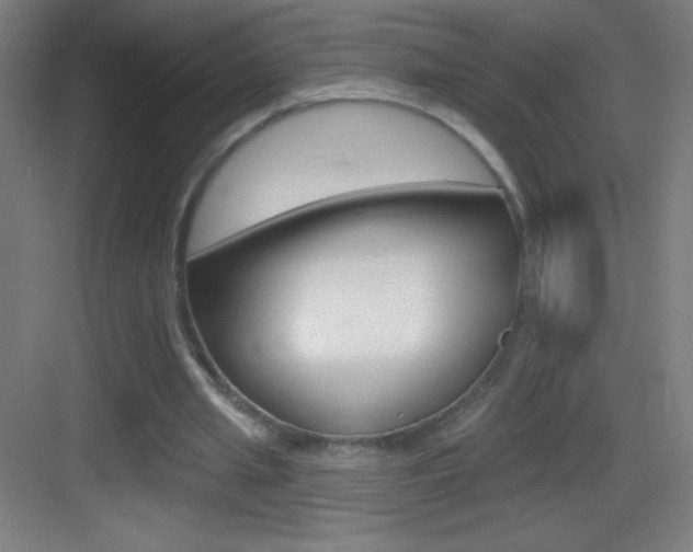 X0000083570437200702090819