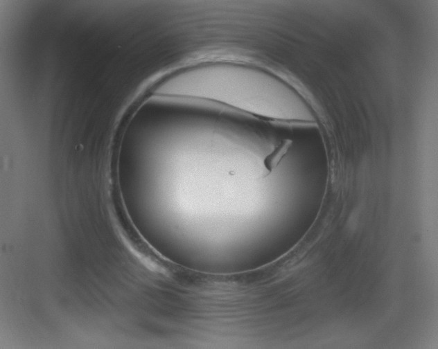 X0000083570438200702090819