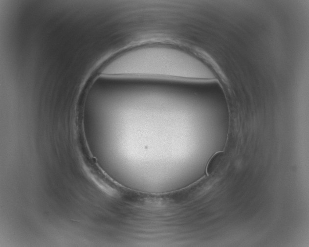 X0000083570439200702090819