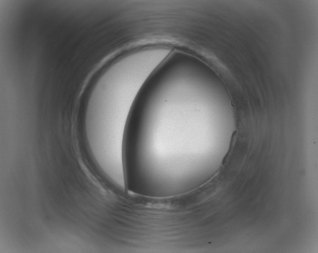 X0000083570440200702090819