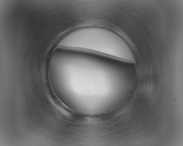 X0000083570442200702090819