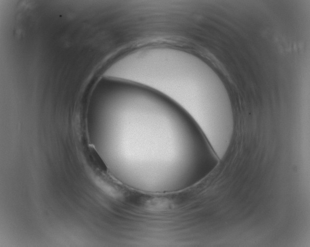 X0000083570444200702090819