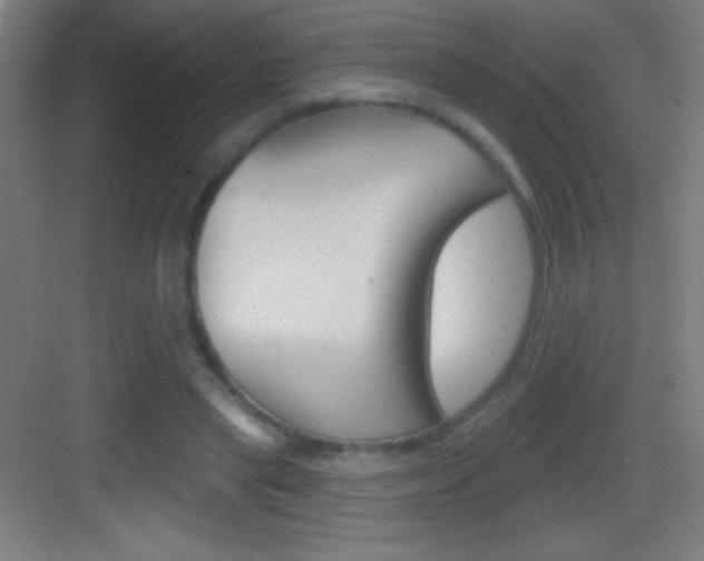 X0000083570445200702090819