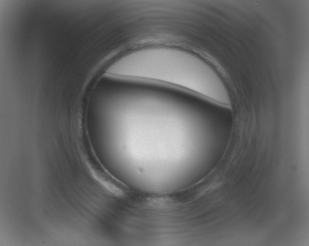 X0000083570446200702090819