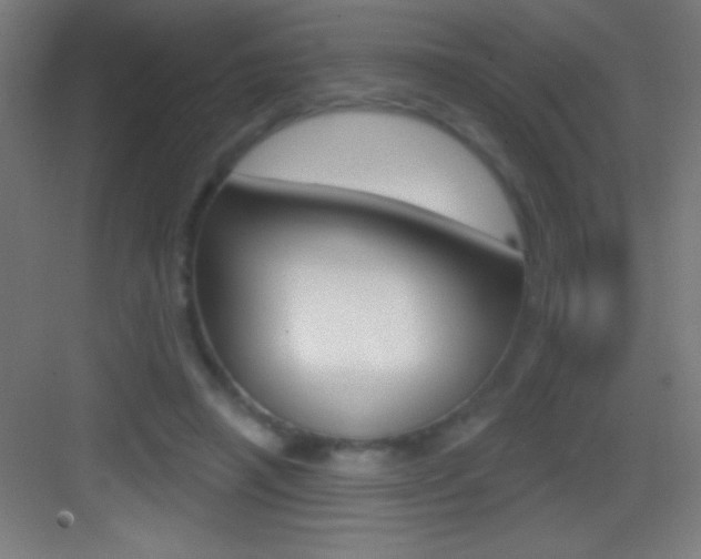 X0000083570450200702090819