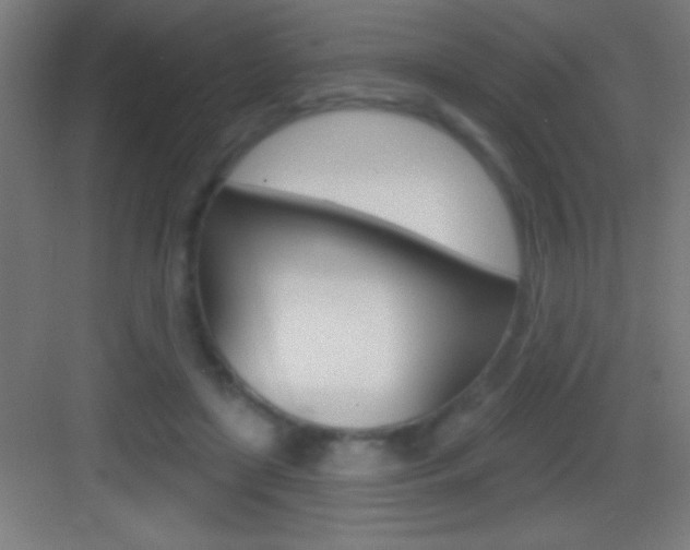X0000083570451200702090819