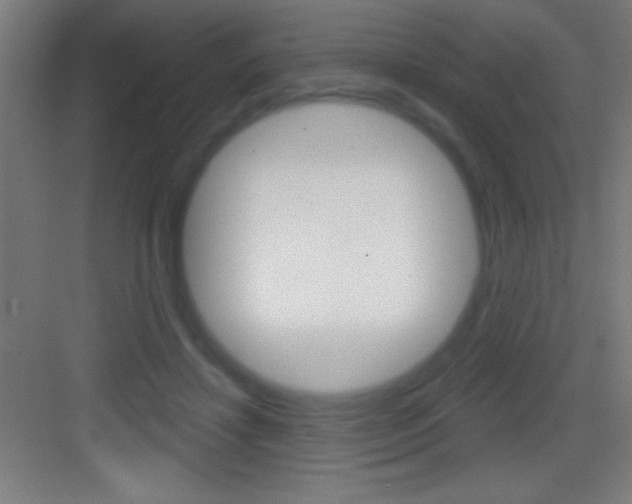 X0000083570452200702090819