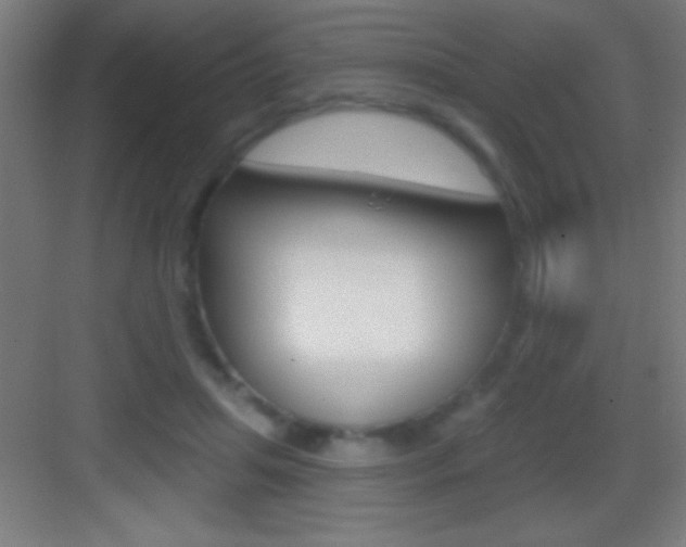 X0000083570455200702090819