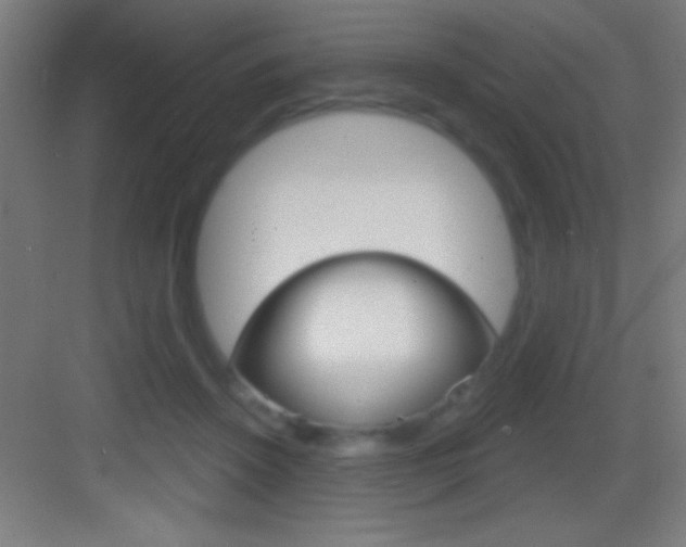 X0000083570456200702090819