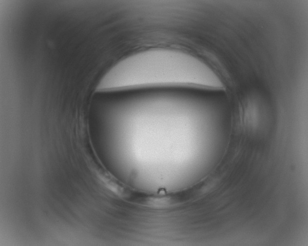 X0000083570457200702090819
