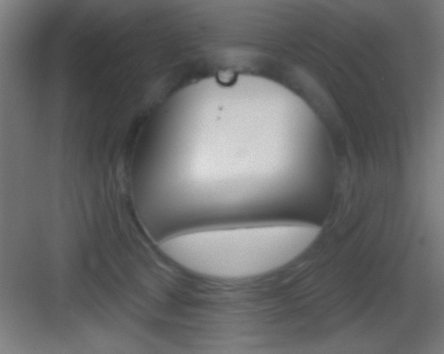 X0000083570465200702090820