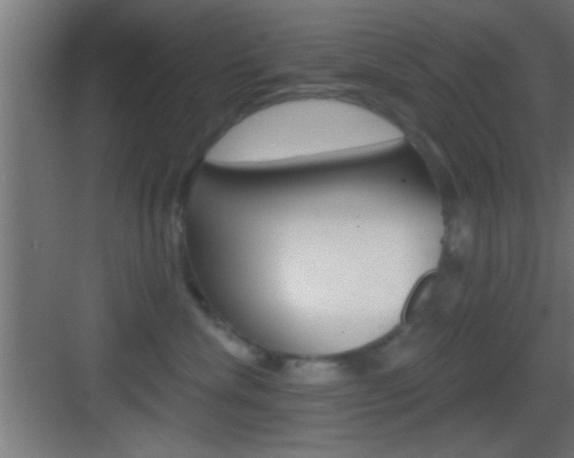 X0000083570476200702090820