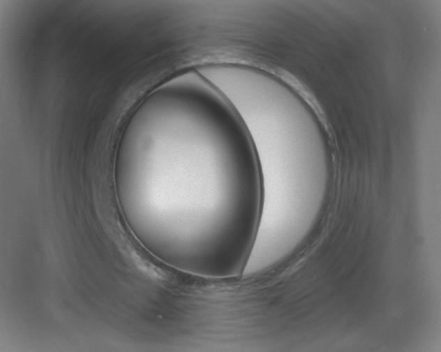 X0000083570481200702090819