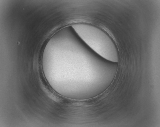 X0000083570482200702090819