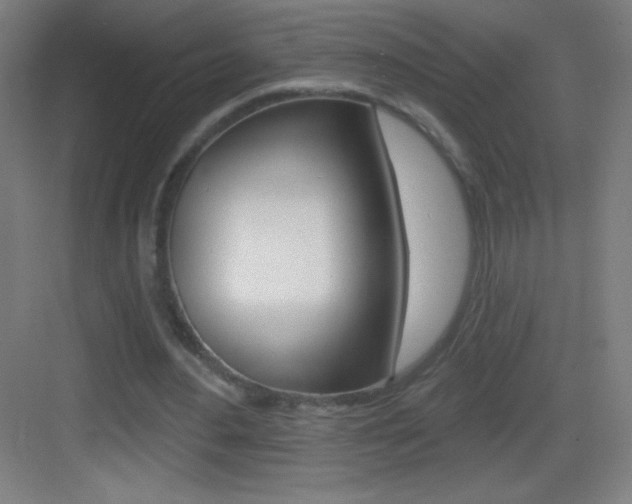 X0000083570484200702090819