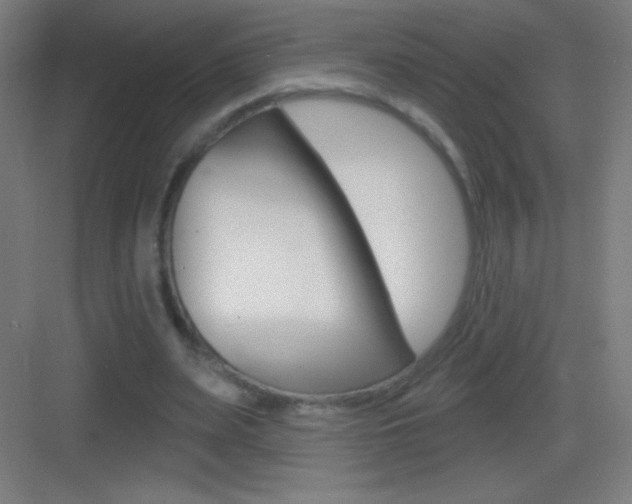 X0000083570487200702090819