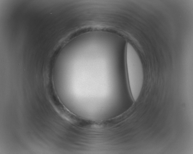 X0000083570496200702090819