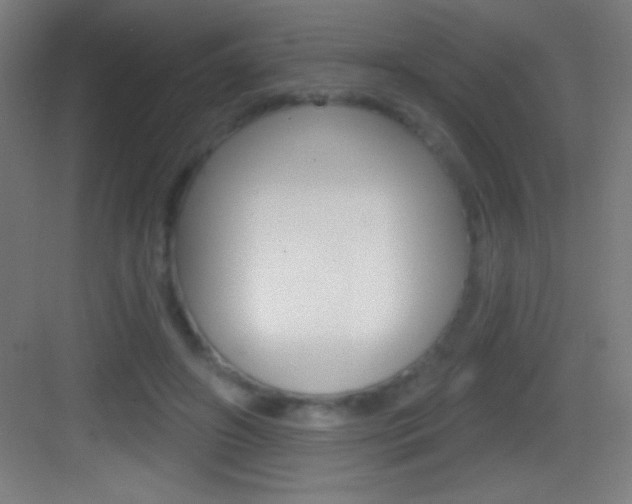 X0000083570498200702090819