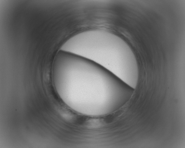 X0000083570499200702090819