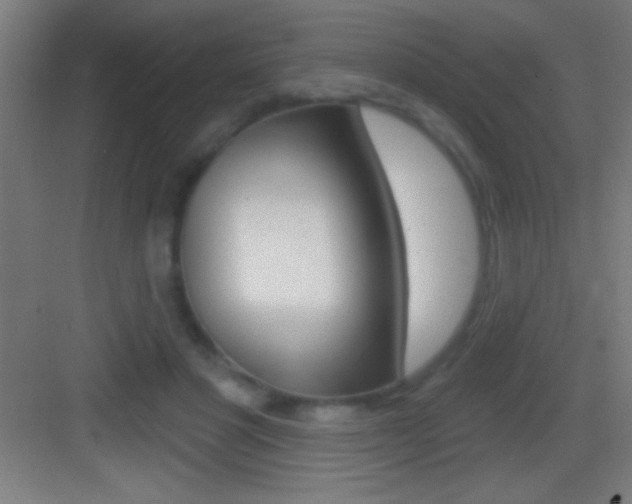 X0000083570501200702090819