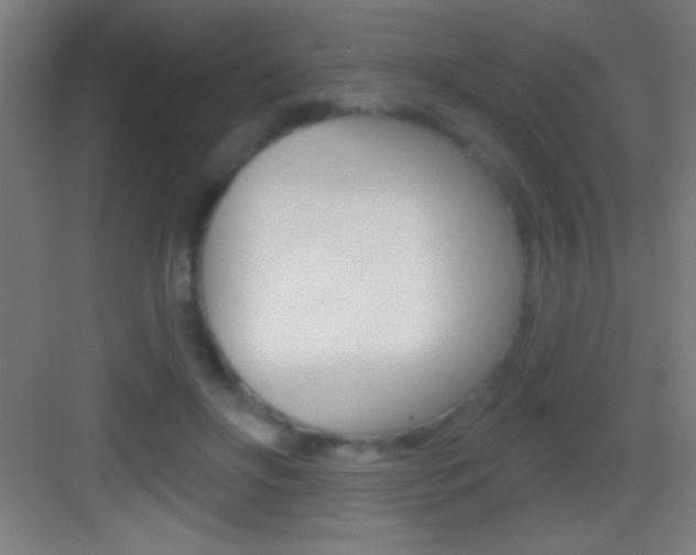 X0000083570502200702090819