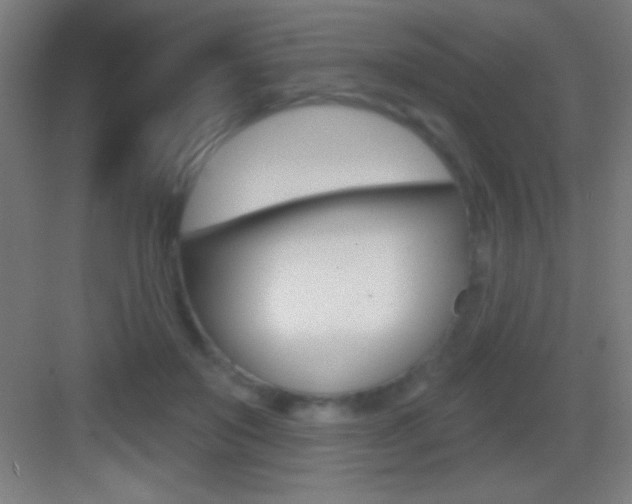 X0000083570503200702090819