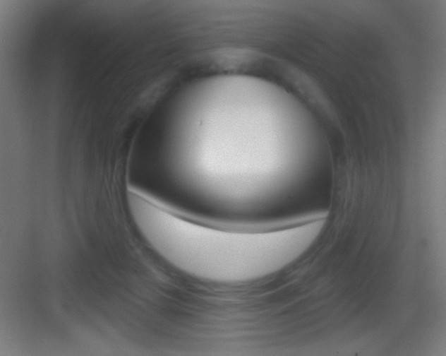 X0000083570505200702090819