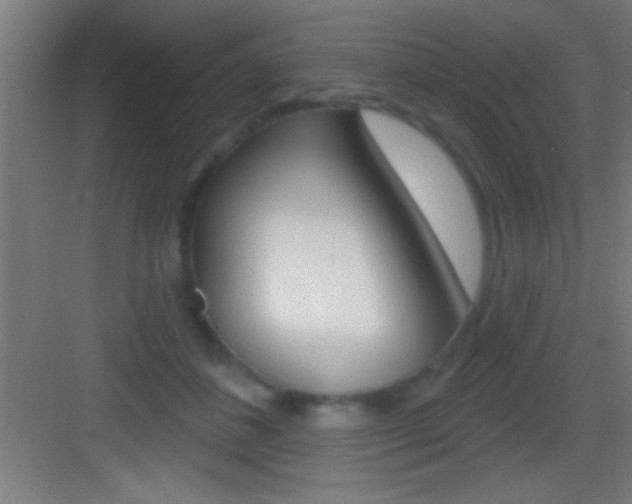 X0000083570508200702090819