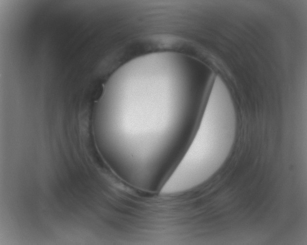 X0000083570509200702090819