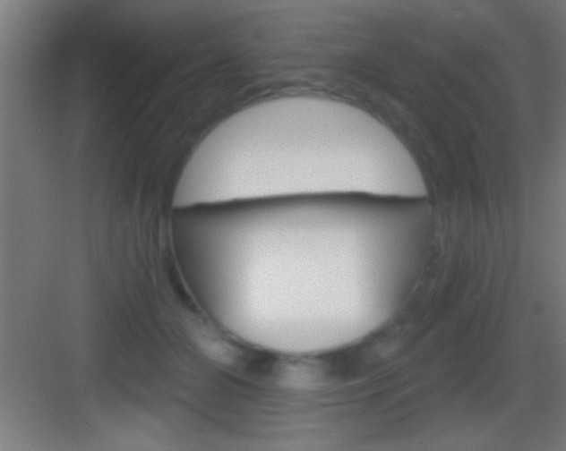 X0000083570510200702090819